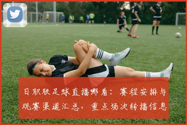 日职联足球直播哪看:赛程安排与观赛渠道汇总,重点场次转播信息